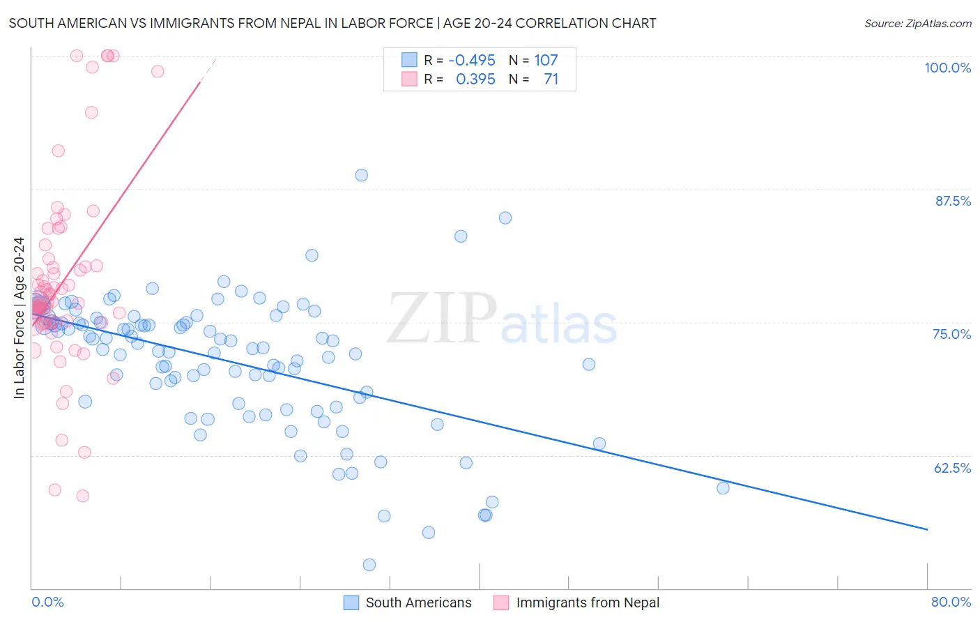 South American vs Immigrants from Nepal In Labor Force | Age 20-24