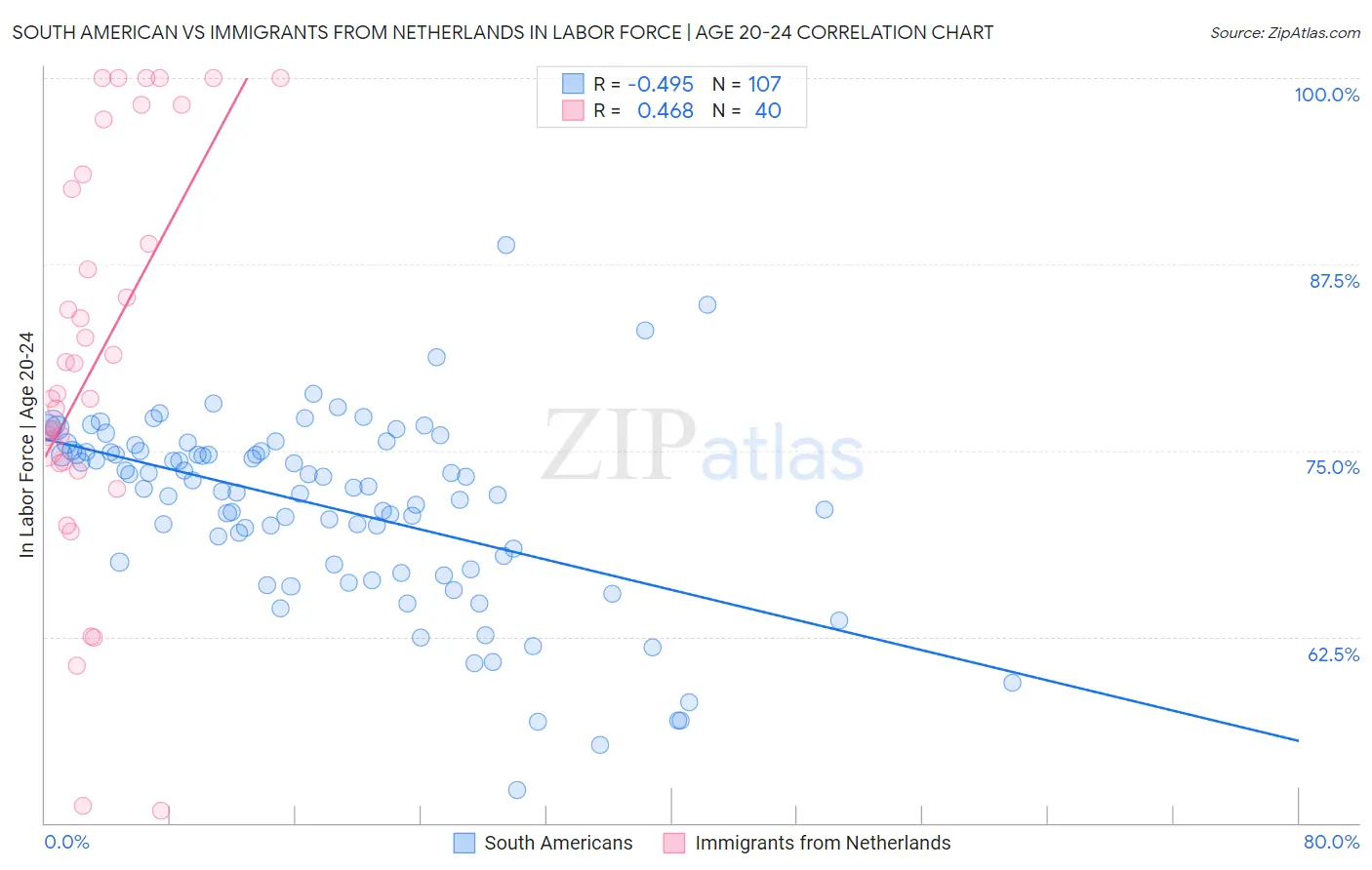 South American vs Immigrants from Netherlands In Labor Force | Age 20-24