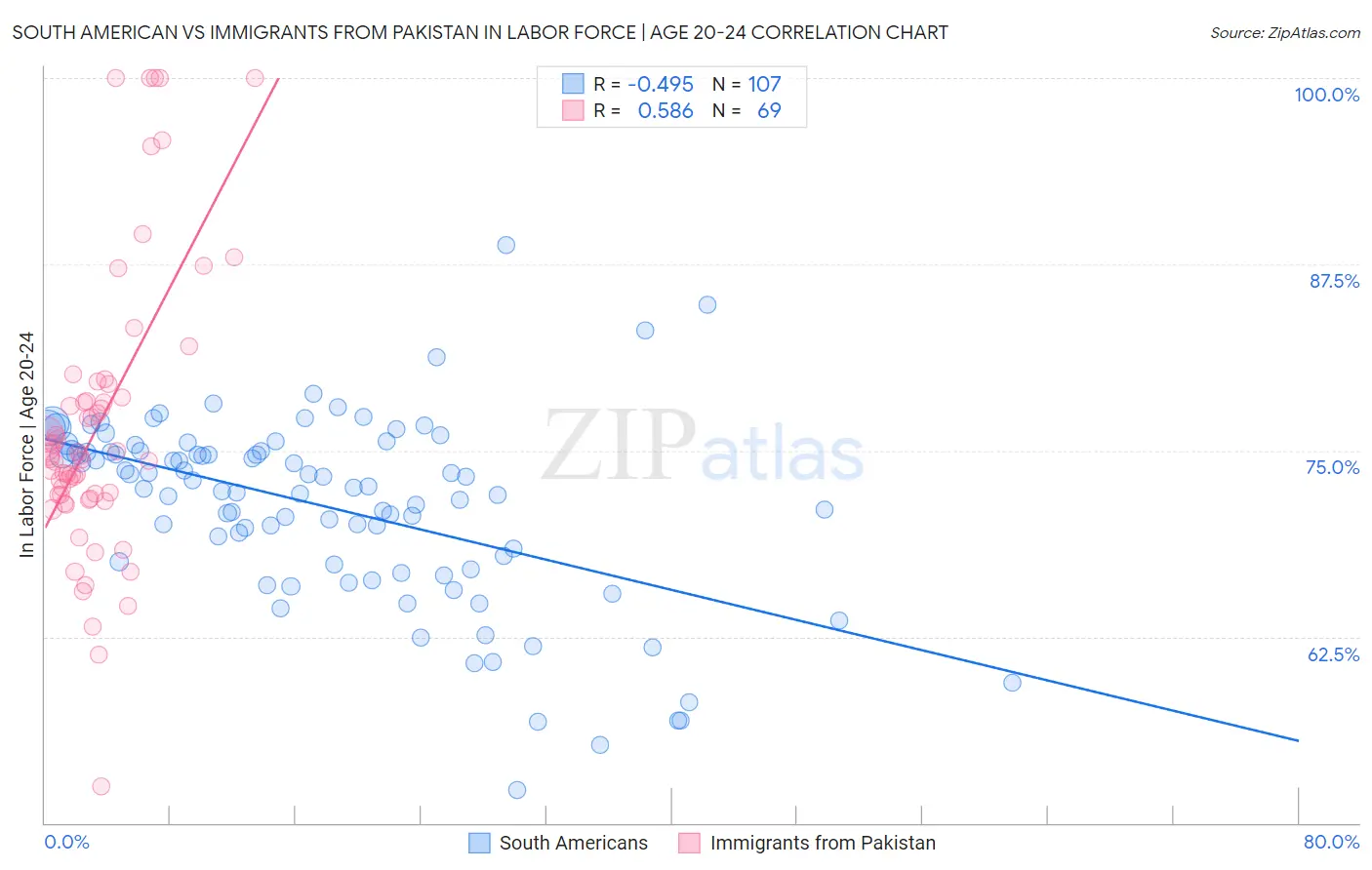 South American vs Immigrants from Pakistan In Labor Force | Age 20-24