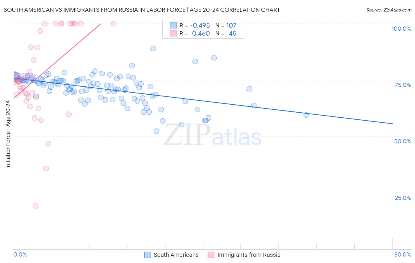 South American vs Immigrants from Russia In Labor Force | Age 20-24