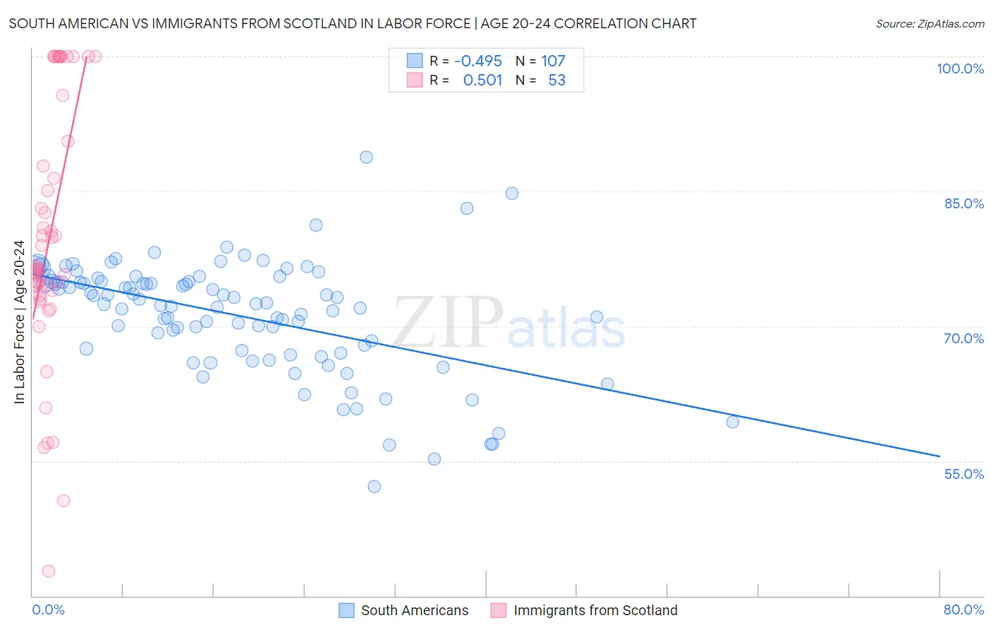 South American vs Immigrants from Scotland In Labor Force | Age 20-24