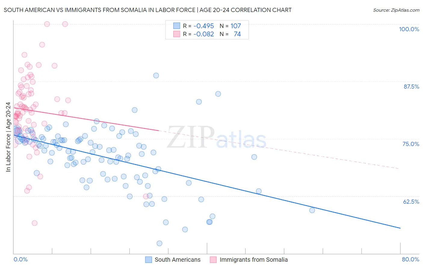 South American vs Immigrants from Somalia In Labor Force | Age 20-24