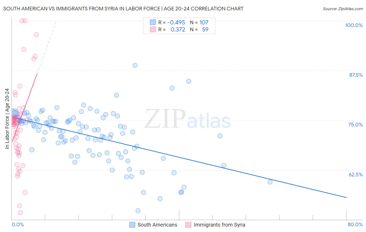 South American vs Immigrants from Syria In Labor Force | Age 20-24