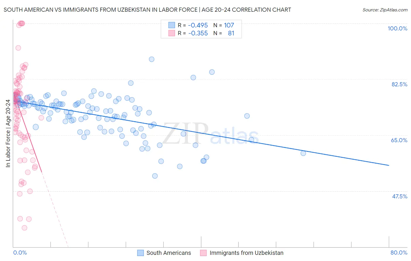 South American vs Immigrants from Uzbekistan In Labor Force | Age 20-24