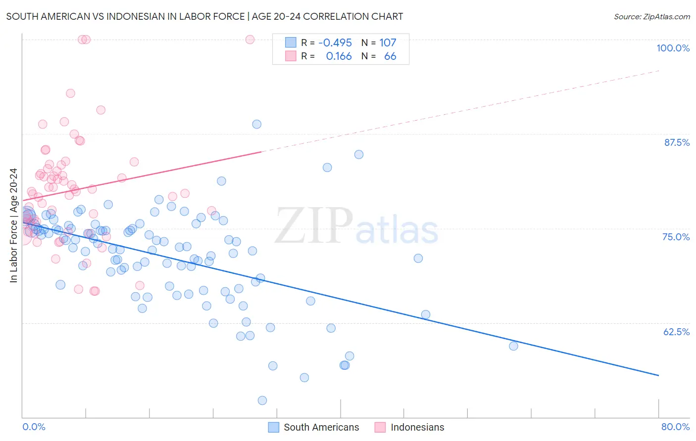 South American vs Indonesian In Labor Force | Age 20-24