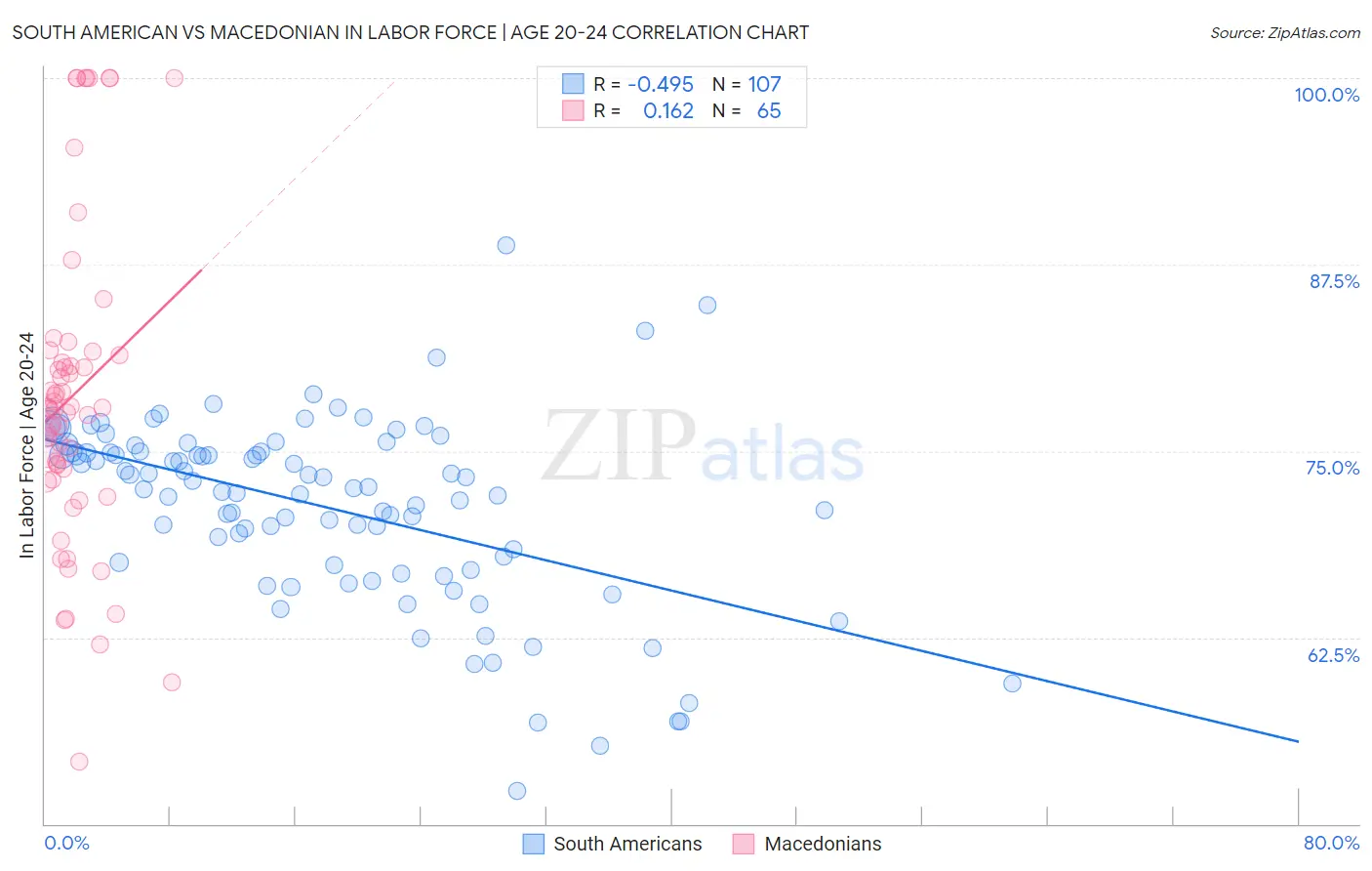 South American vs Macedonian In Labor Force | Age 20-24
