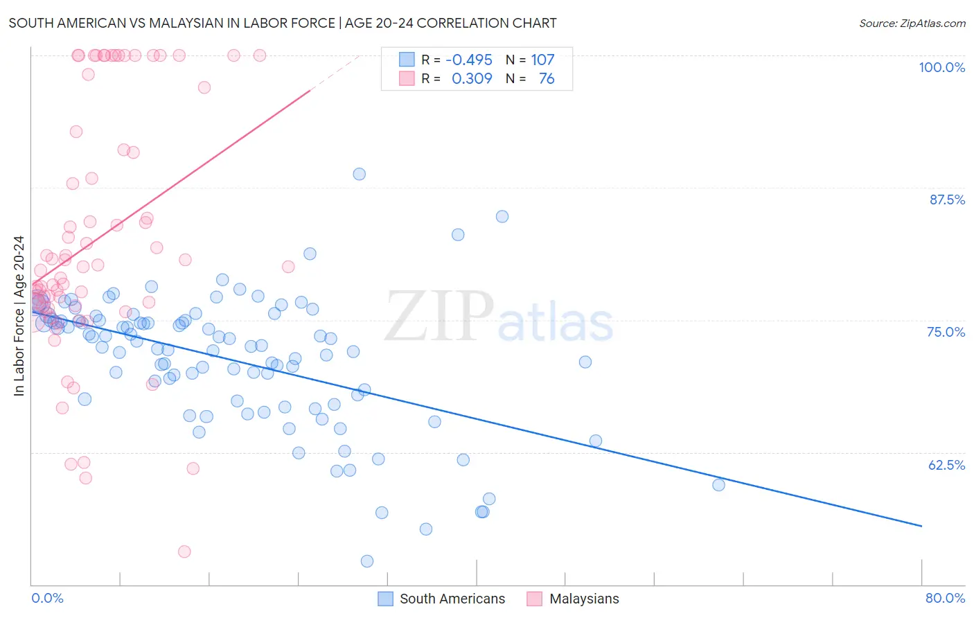 South American vs Malaysian In Labor Force | Age 20-24