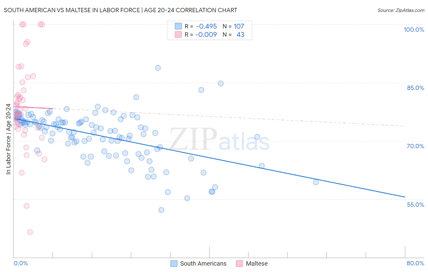 South American vs Maltese In Labor Force | Age 20-24