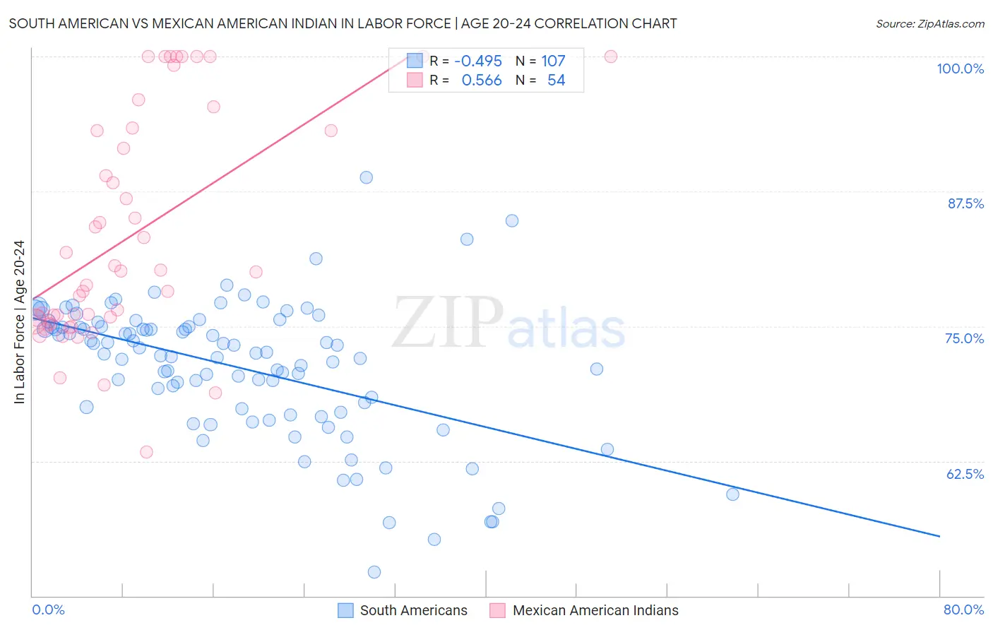 South American vs Mexican American Indian In Labor Force | Age 20-24