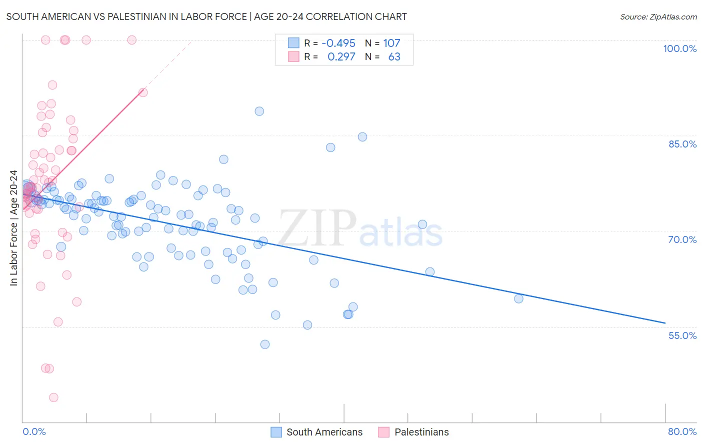 South American vs Palestinian In Labor Force | Age 20-24