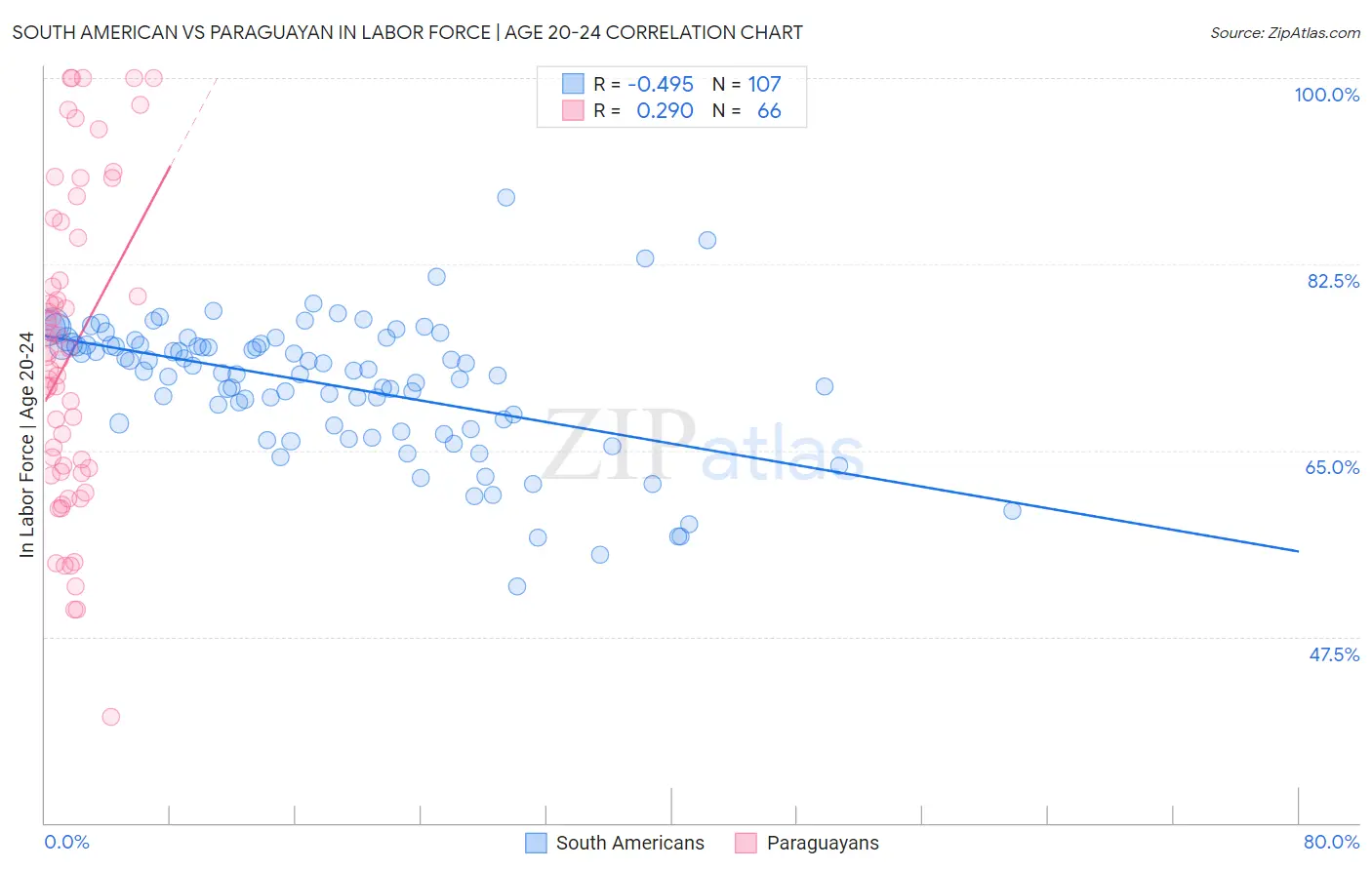 South American vs Paraguayan In Labor Force | Age 20-24