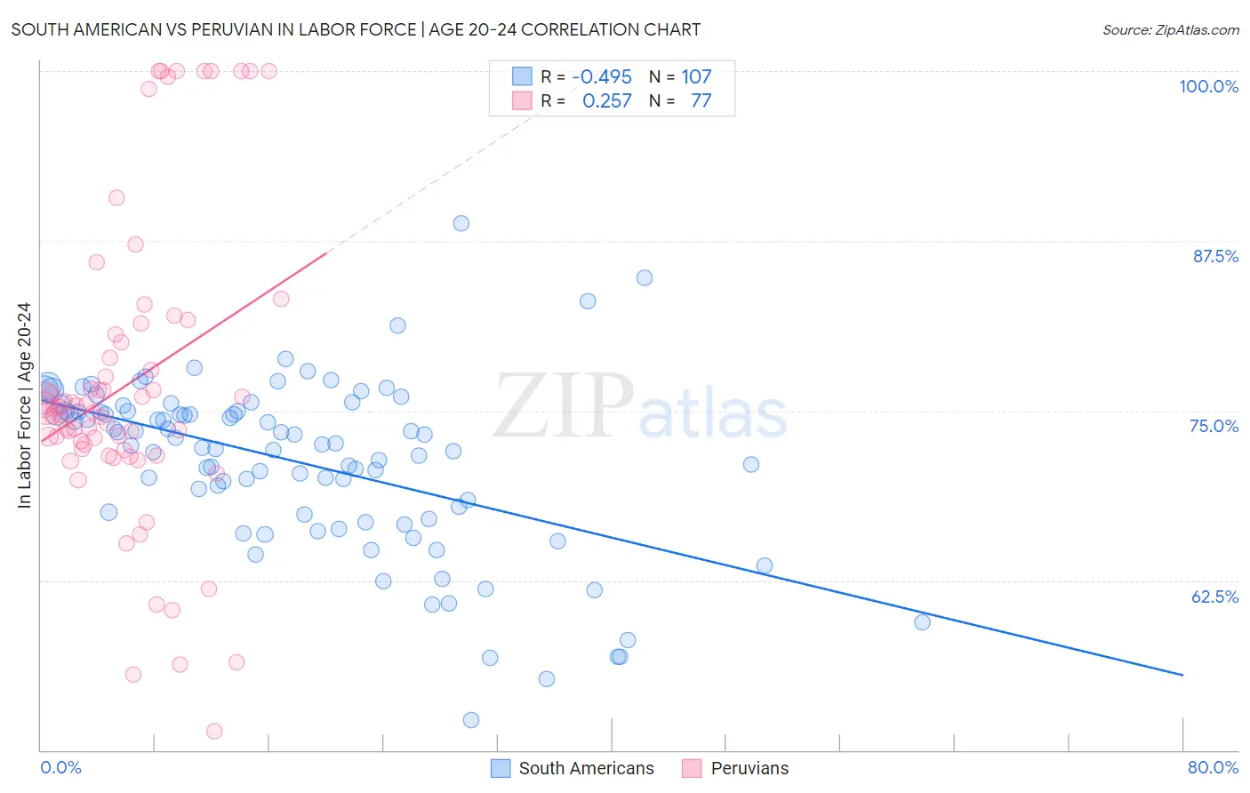 South American vs Peruvian In Labor Force | Age 20-24