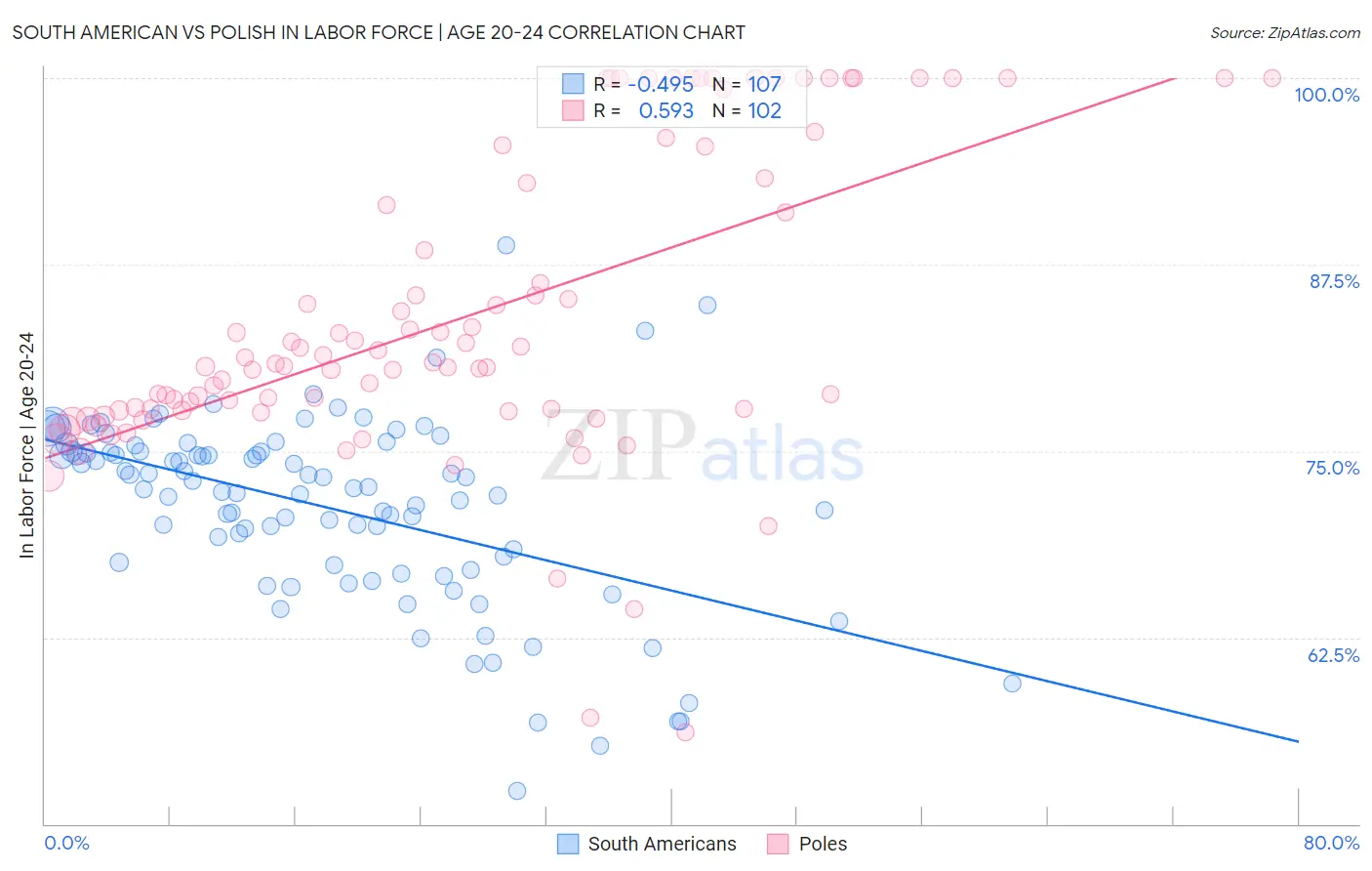 South American vs Polish In Labor Force | Age 20-24