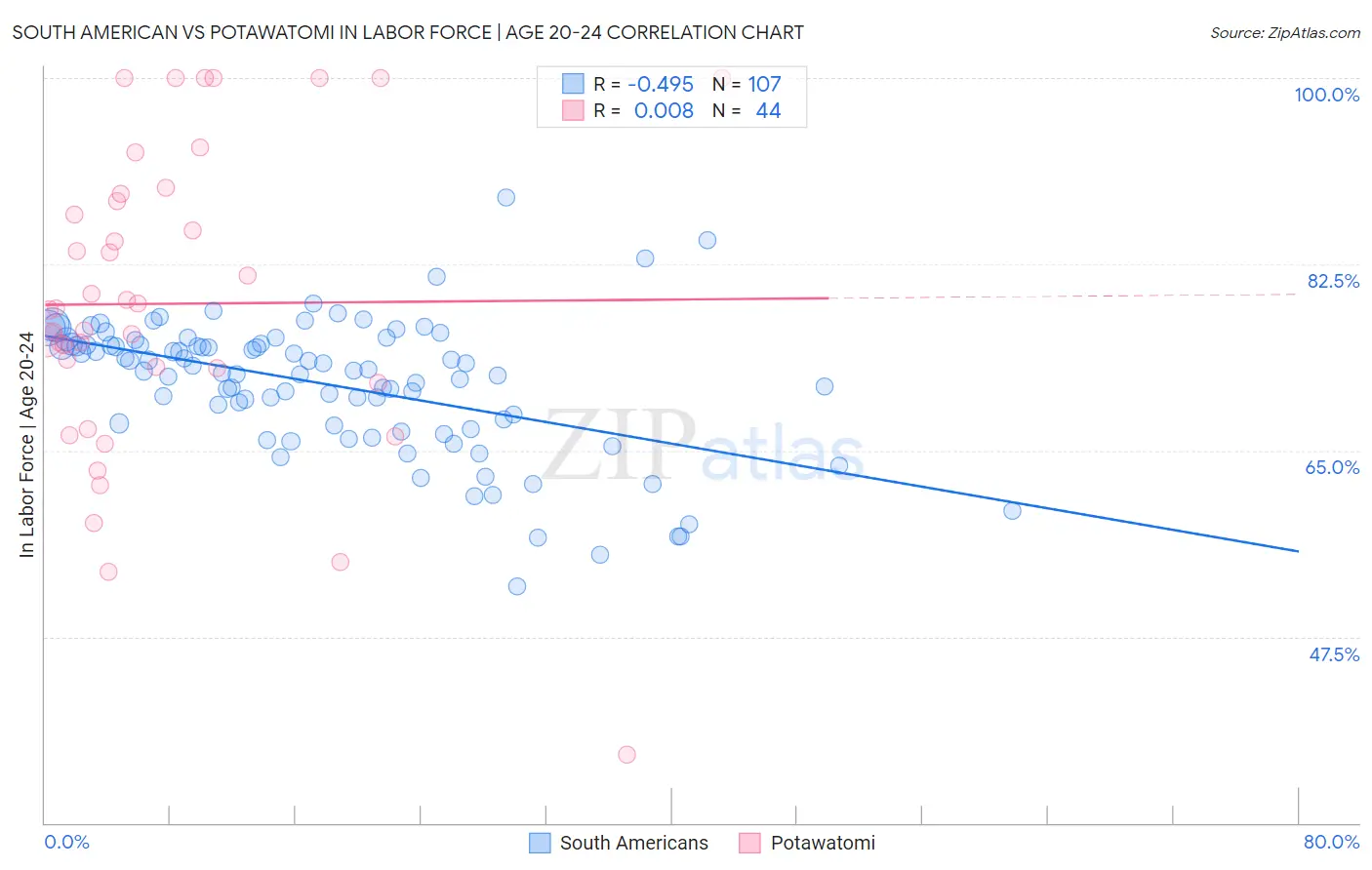 South American vs Potawatomi In Labor Force | Age 20-24