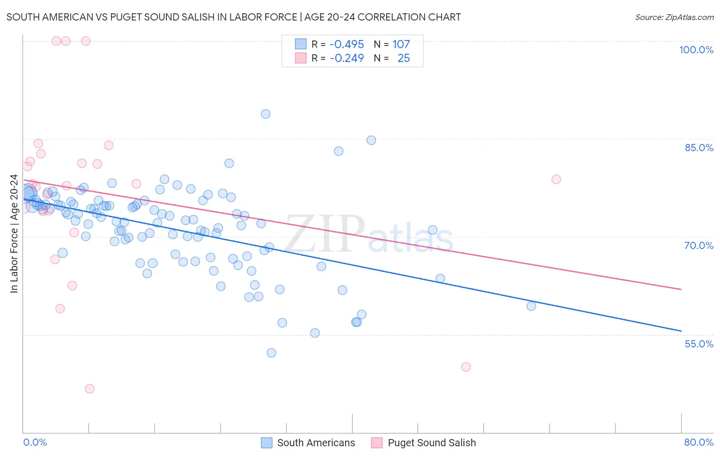 South American vs Puget Sound Salish In Labor Force | Age 20-24