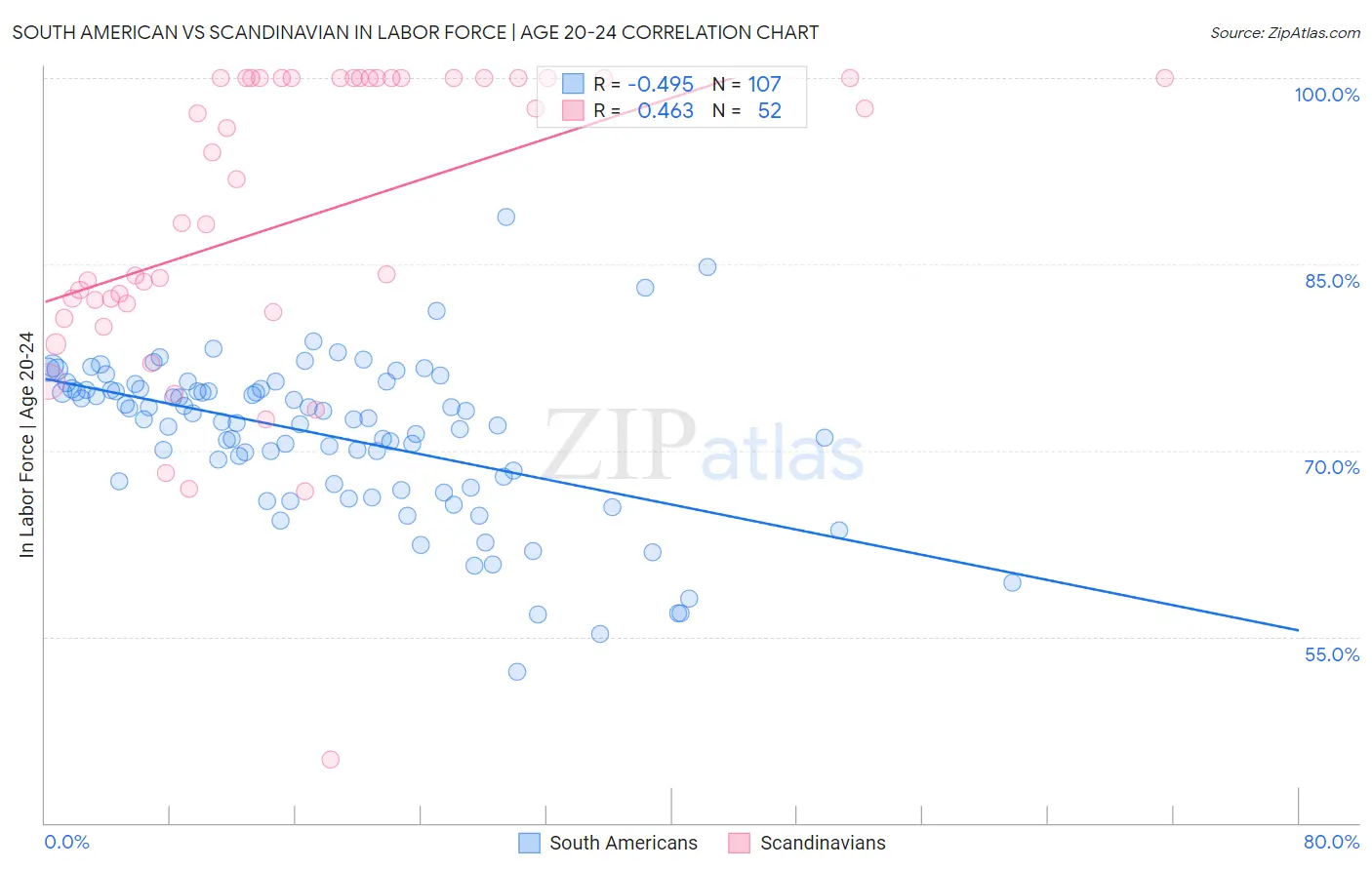 South American vs Scandinavian In Labor Force | Age 20-24