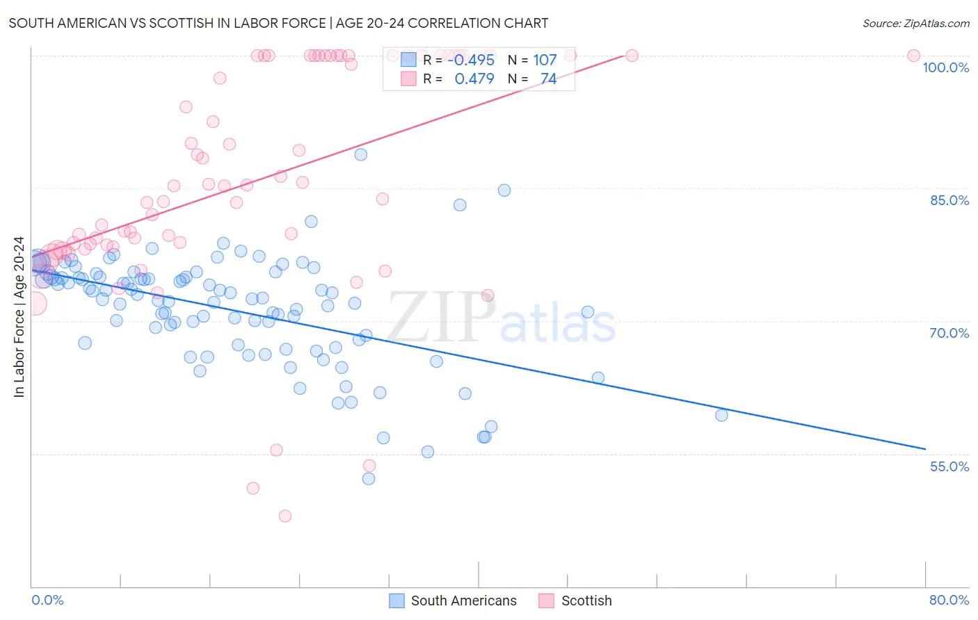 South American vs Scottish In Labor Force | Age 20-24