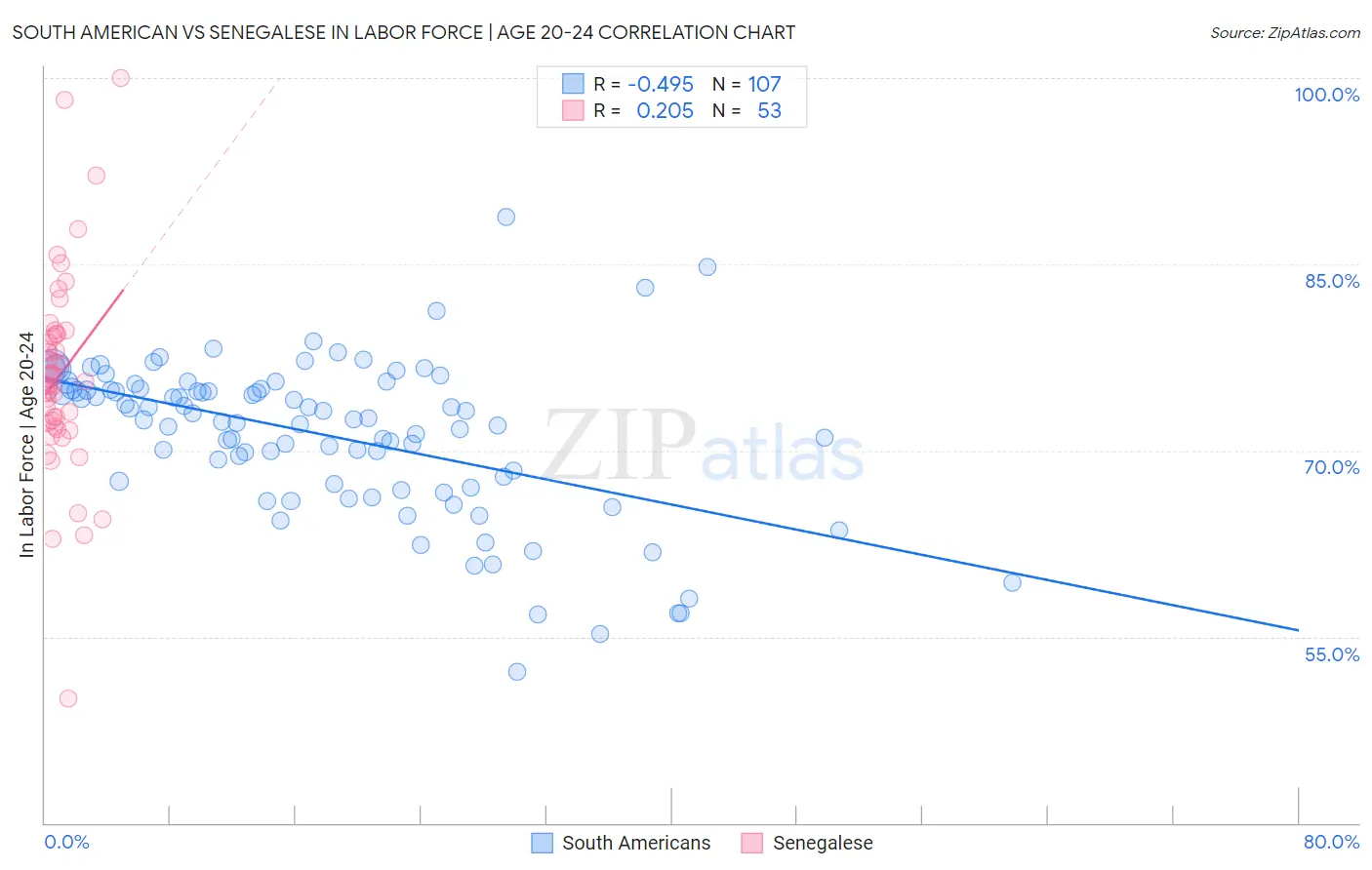 South American vs Senegalese In Labor Force | Age 20-24