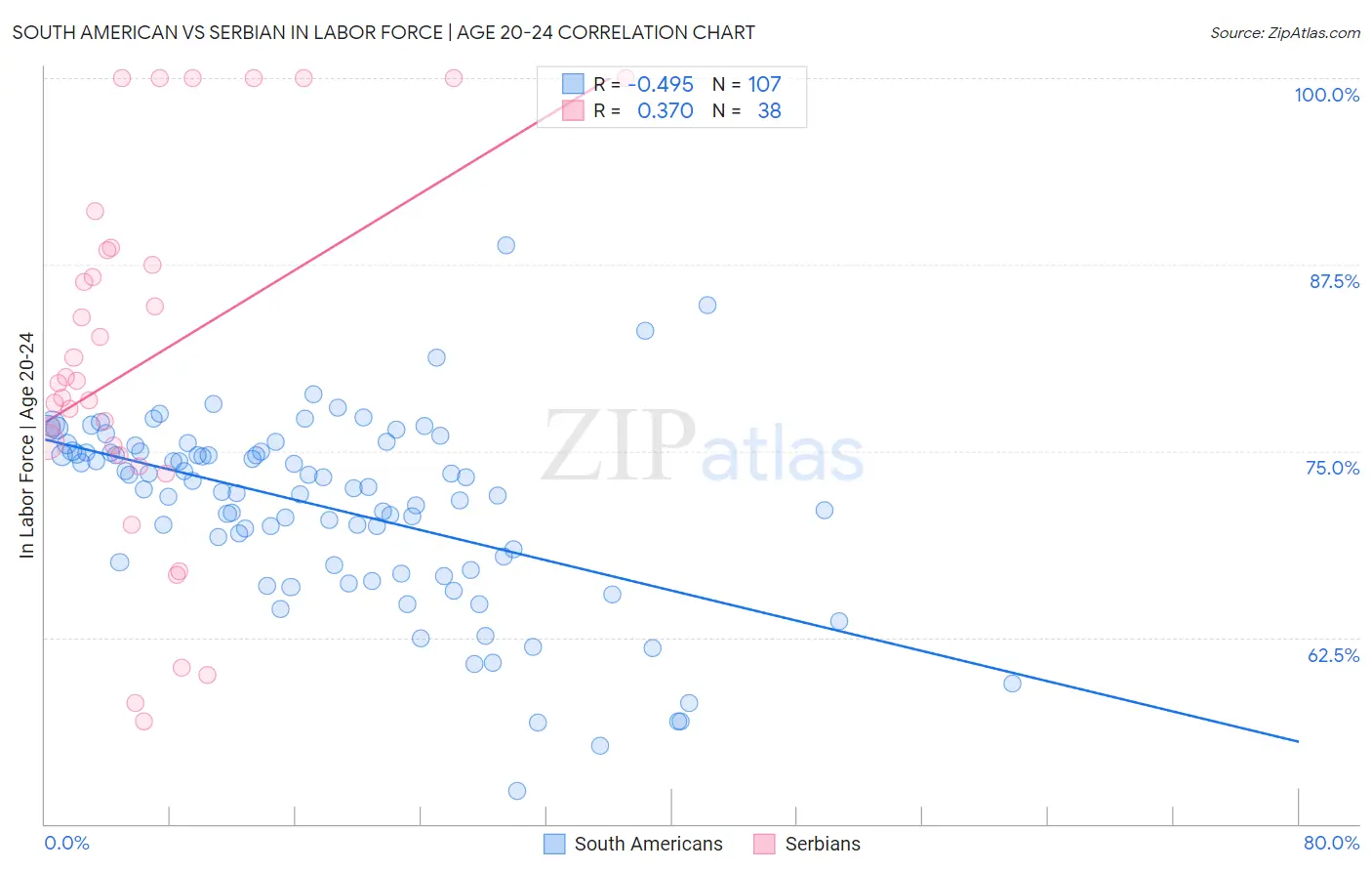 South American vs Serbian In Labor Force | Age 20-24