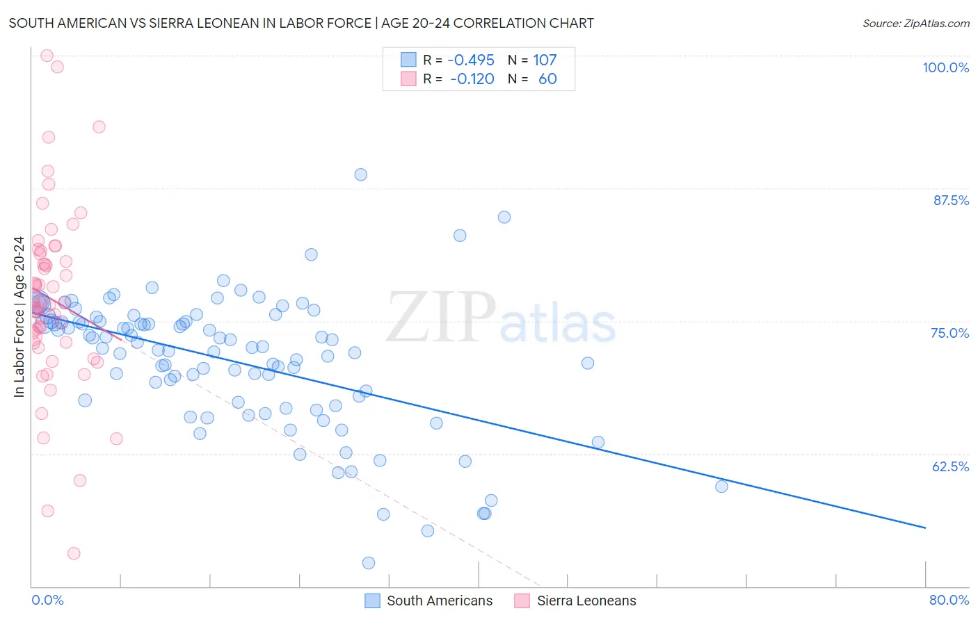 South American vs Sierra Leonean In Labor Force | Age 20-24