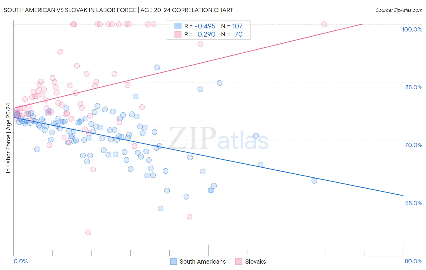South American vs Slovak In Labor Force | Age 20-24