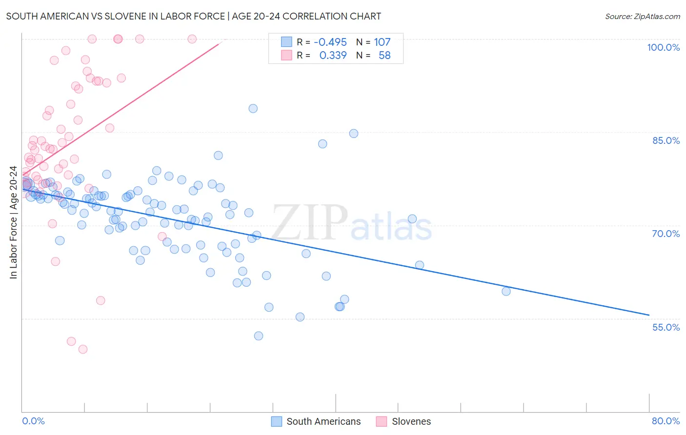 South American vs Slovene In Labor Force | Age 20-24