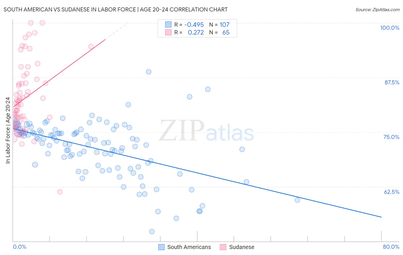 South American vs Sudanese In Labor Force | Age 20-24