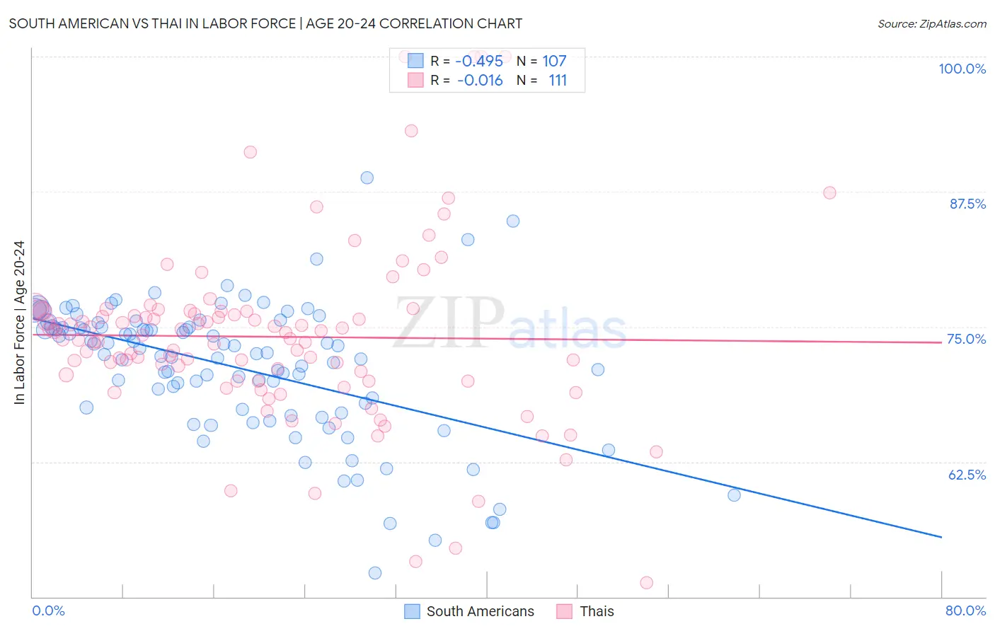 South American vs Thai In Labor Force | Age 20-24