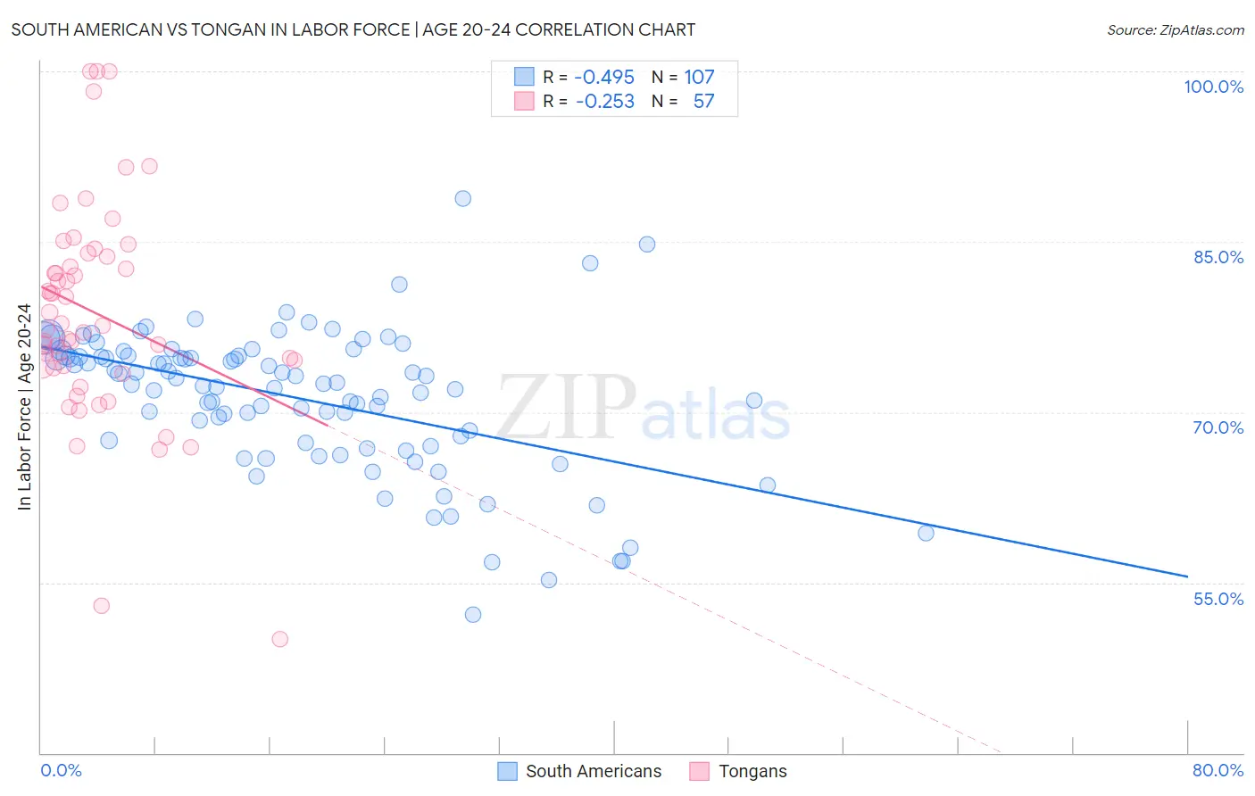 South American vs Tongan In Labor Force | Age 20-24