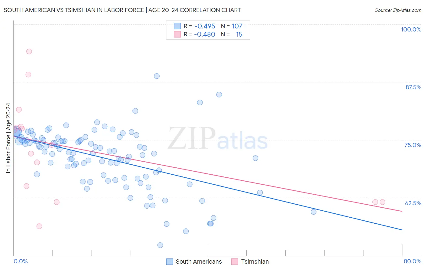 South American vs Tsimshian In Labor Force | Age 20-24