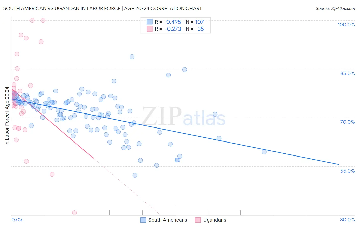 South American vs Ugandan In Labor Force | Age 20-24