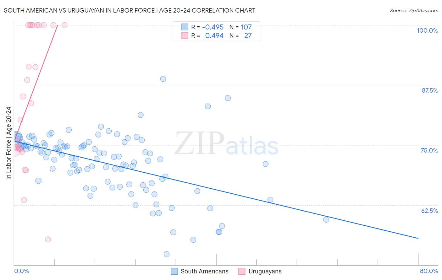 South American vs Uruguayan In Labor Force | Age 20-24