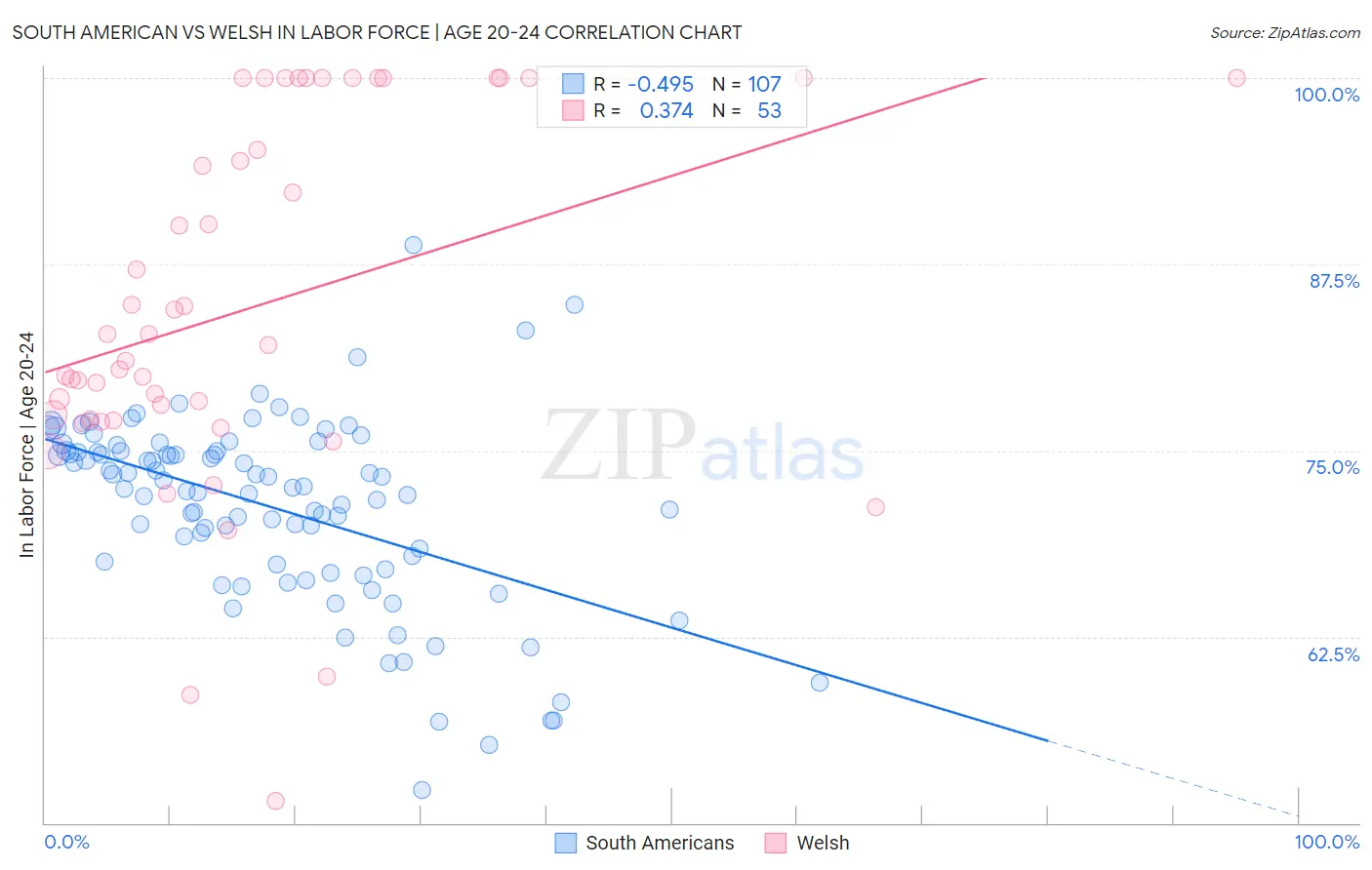 South American vs Welsh In Labor Force | Age 20-24