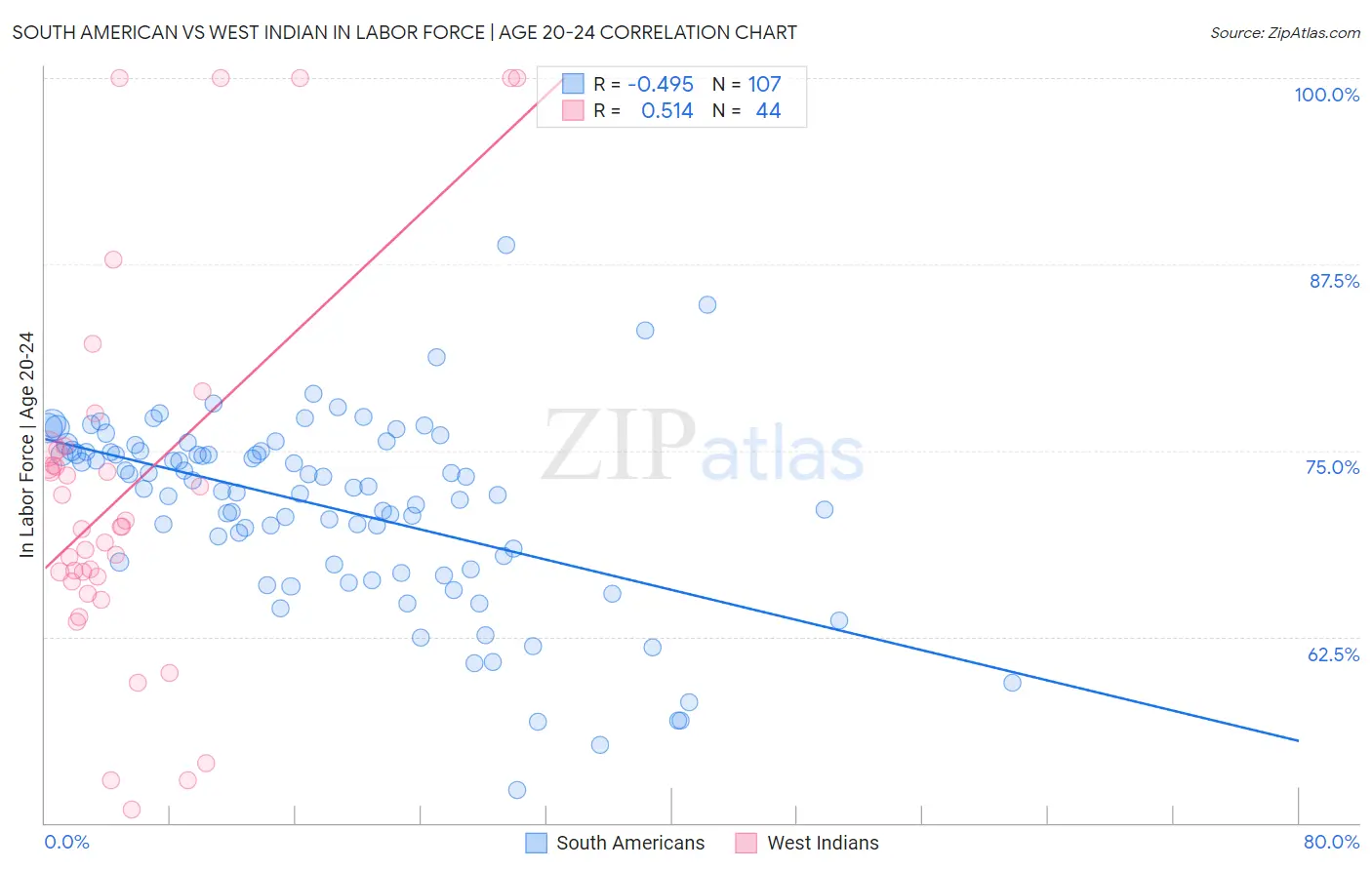 South American vs West Indian In Labor Force | Age 20-24