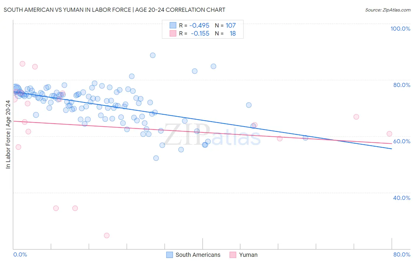 South American vs Yuman In Labor Force | Age 20-24