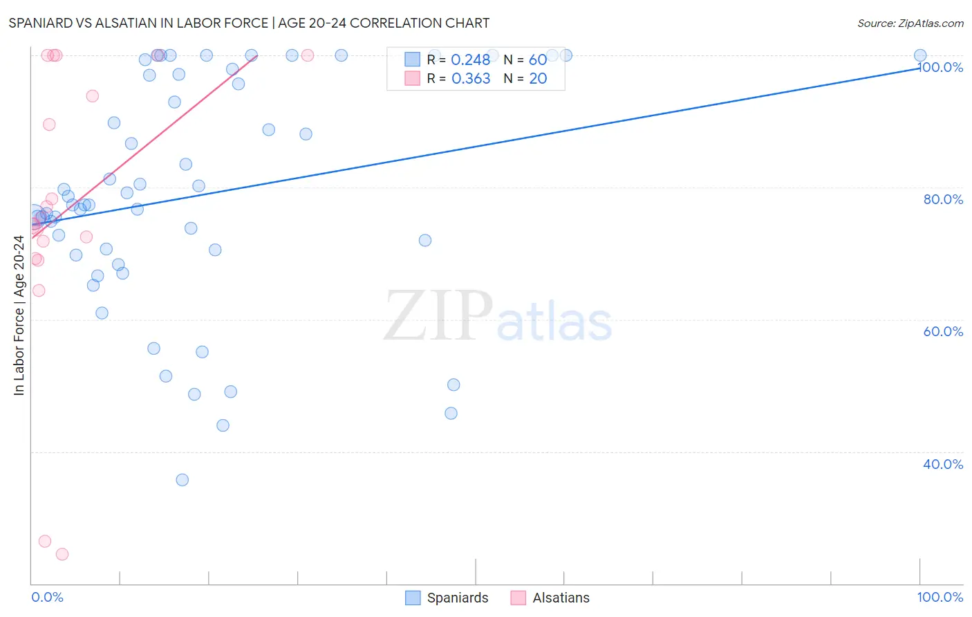 Spaniard vs Alsatian In Labor Force | Age 20-24