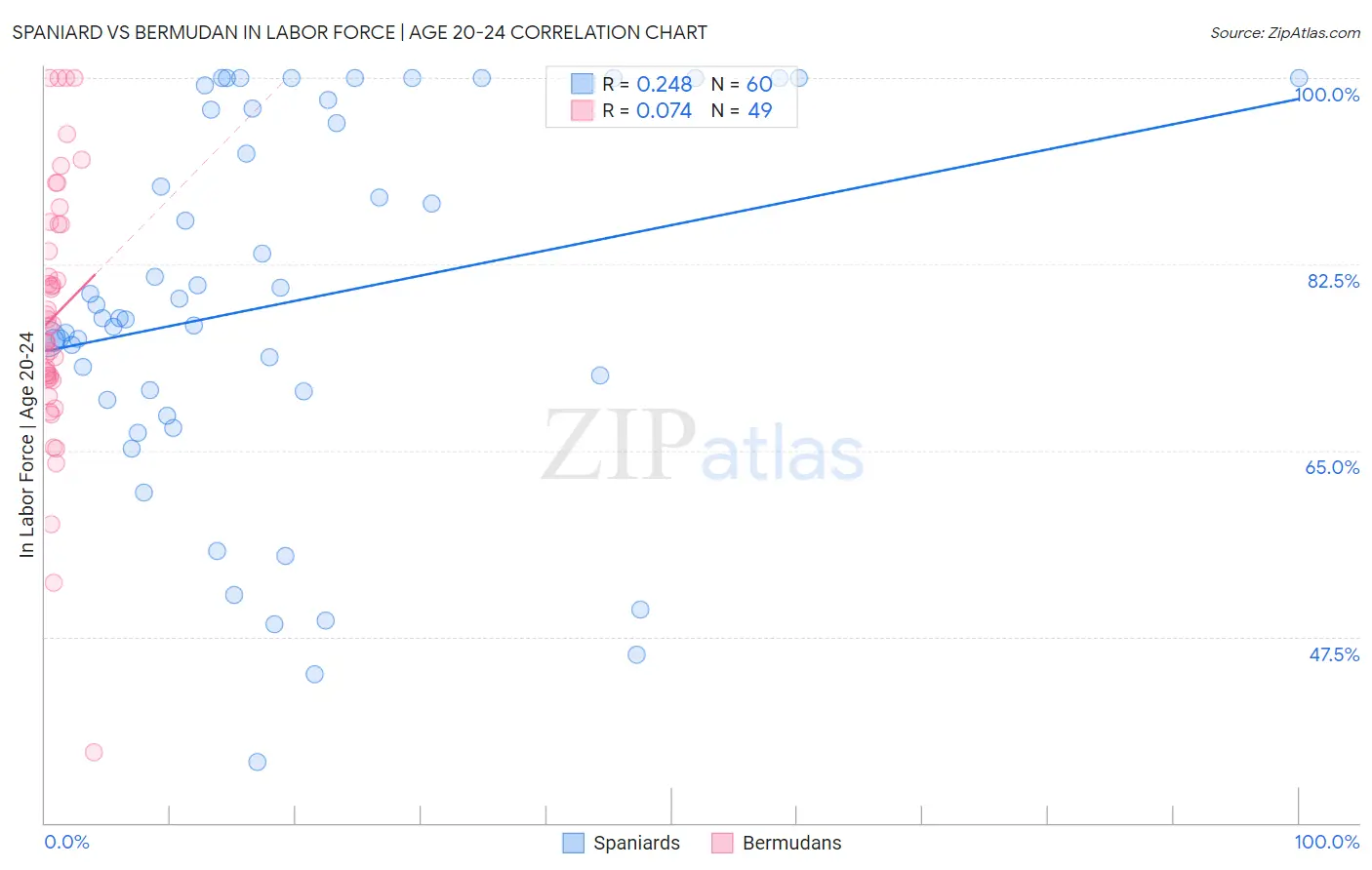 Spaniard vs Bermudan In Labor Force | Age 20-24