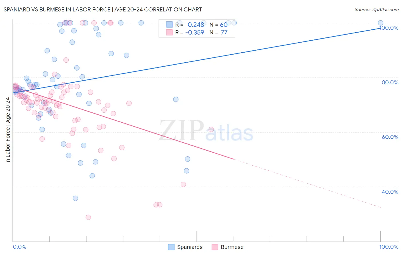 Spaniard vs Burmese In Labor Force | Age 20-24