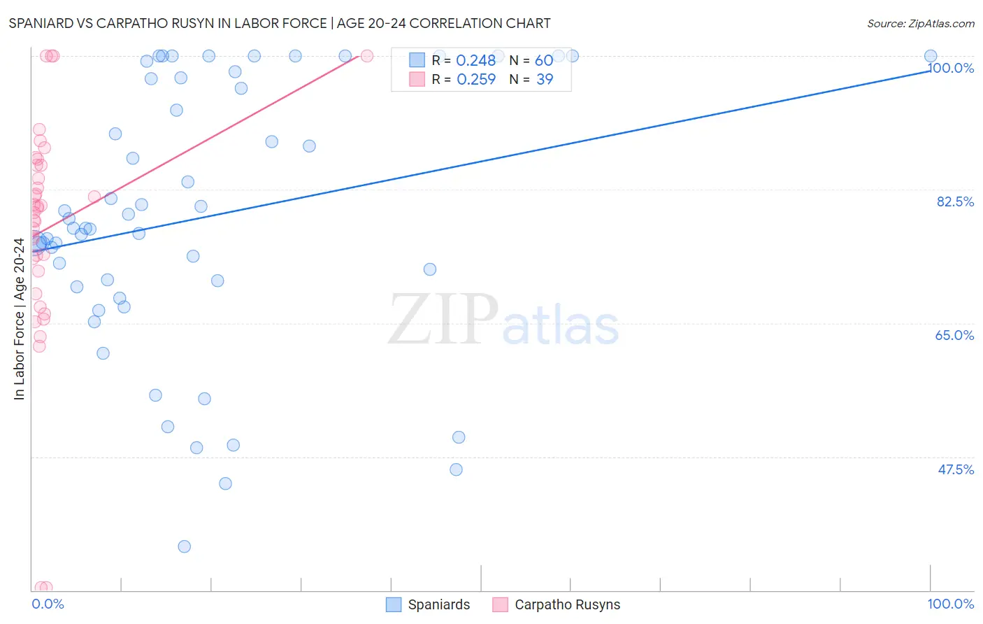 Spaniard vs Carpatho Rusyn In Labor Force | Age 20-24