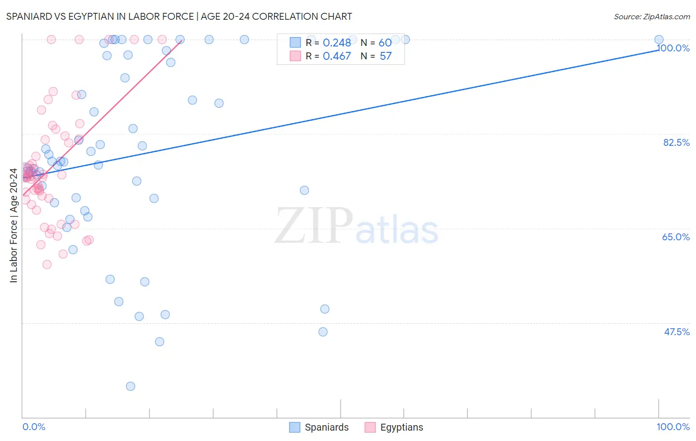 Spaniard vs Egyptian In Labor Force | Age 20-24