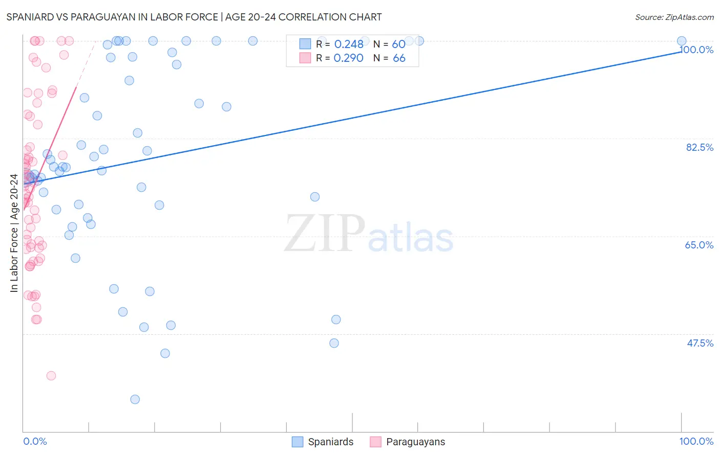 Spaniard vs Paraguayan In Labor Force | Age 20-24