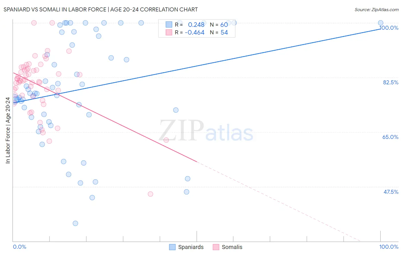 Spaniard vs Somali In Labor Force | Age 20-24