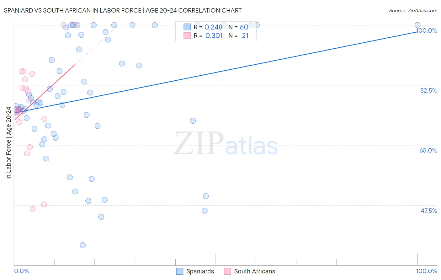 Spaniard vs South African In Labor Force | Age 20-24