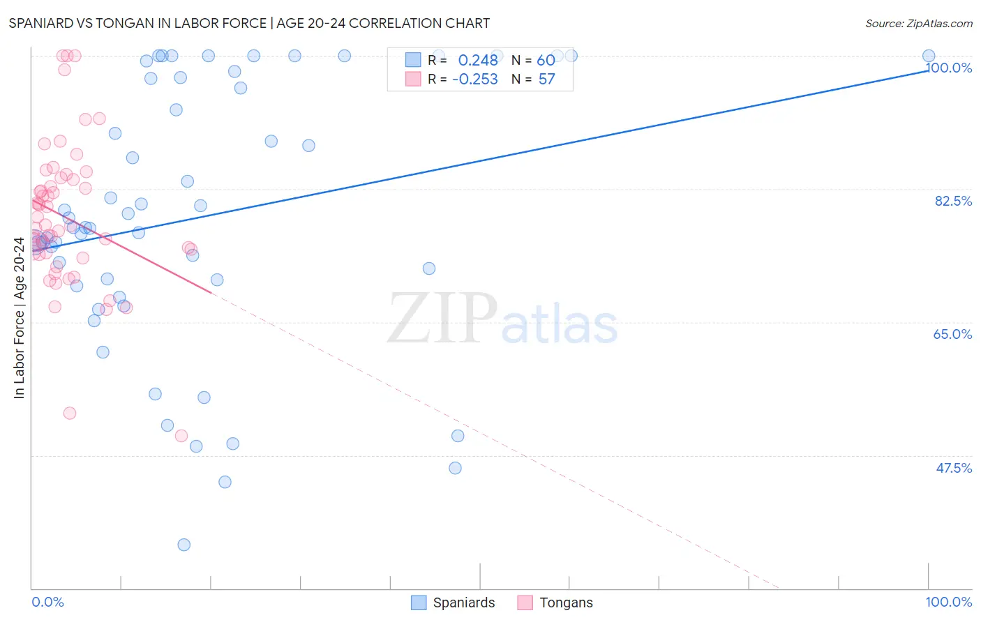 Spaniard vs Tongan In Labor Force | Age 20-24