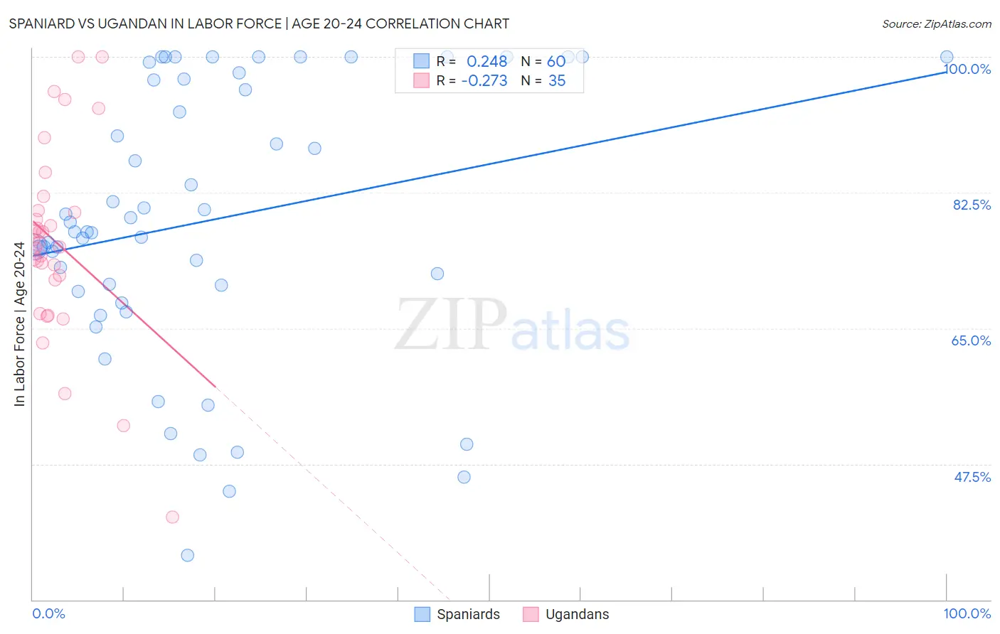 Spaniard vs Ugandan In Labor Force | Age 20-24