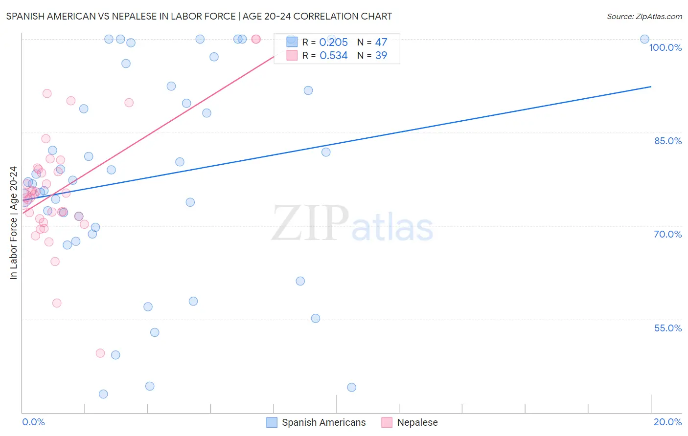 Spanish American vs Nepalese In Labor Force | Age 20-24