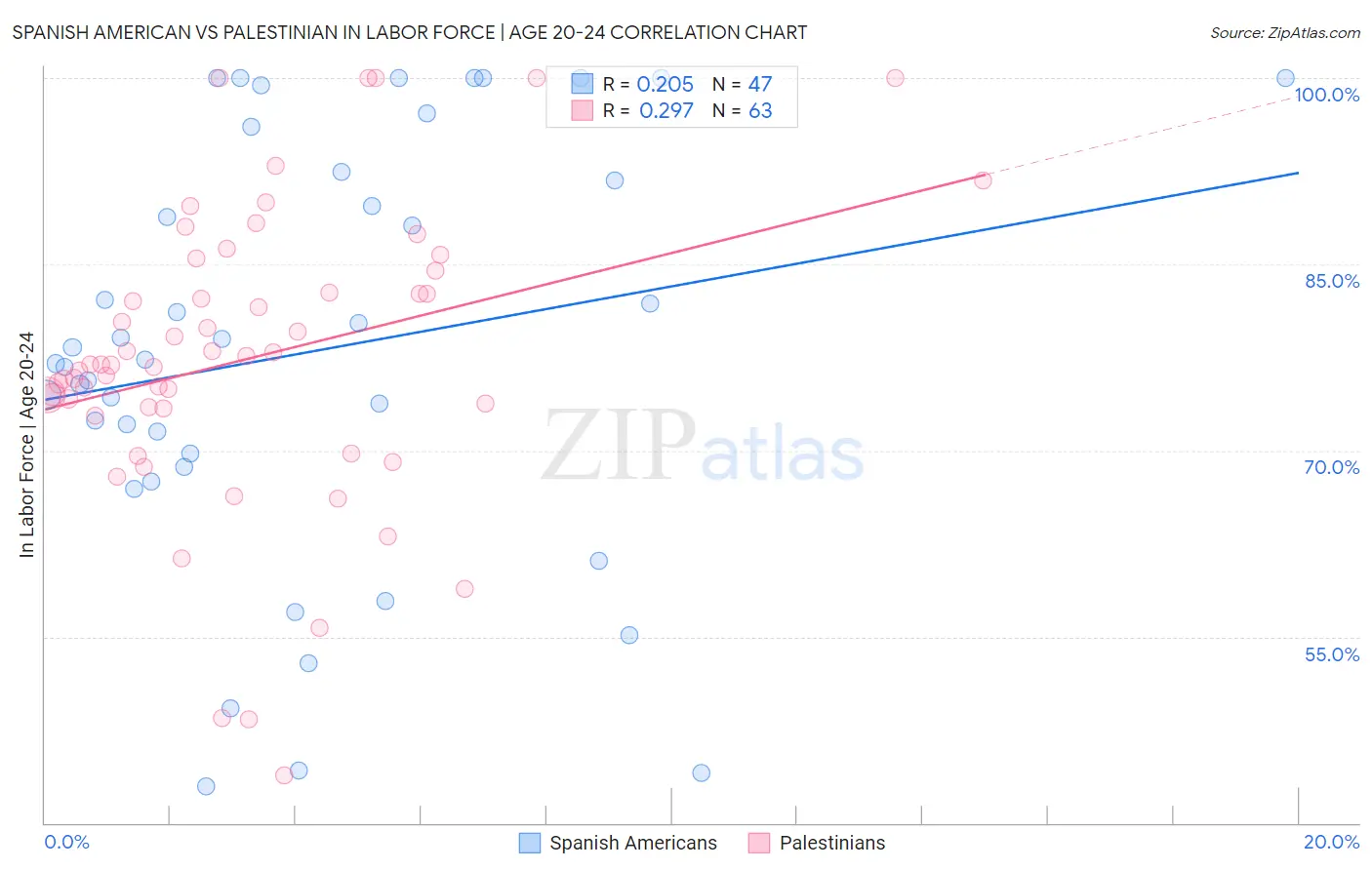 Spanish American vs Palestinian In Labor Force | Age 20-24