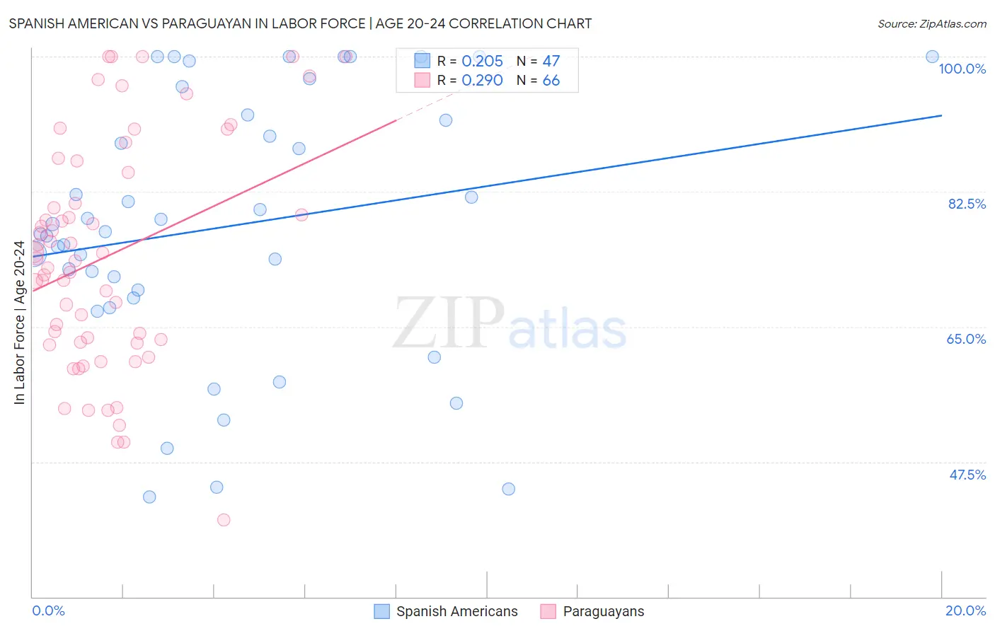 Spanish American vs Paraguayan In Labor Force | Age 20-24