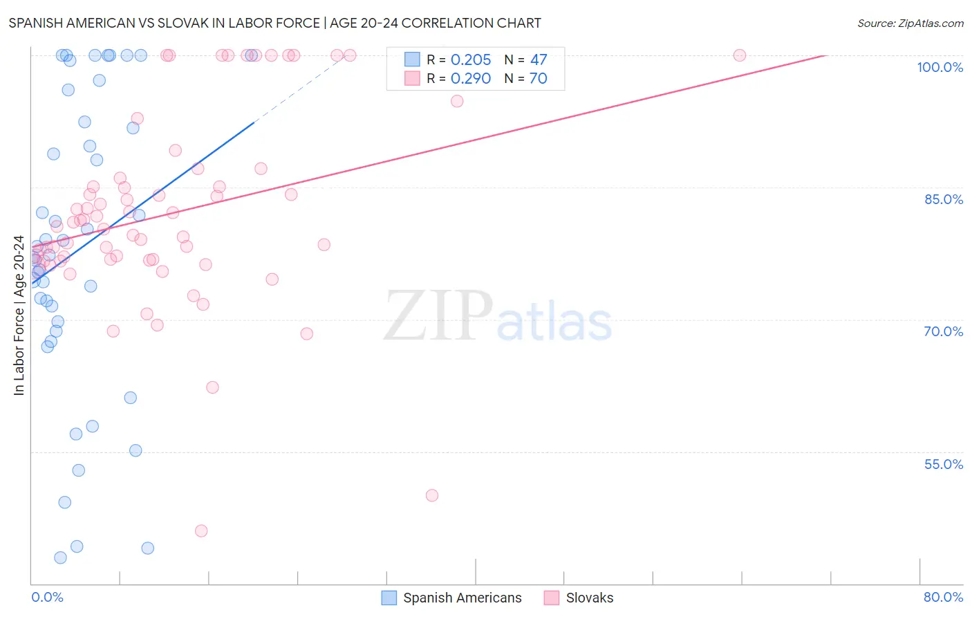 Spanish American vs Slovak In Labor Force | Age 20-24