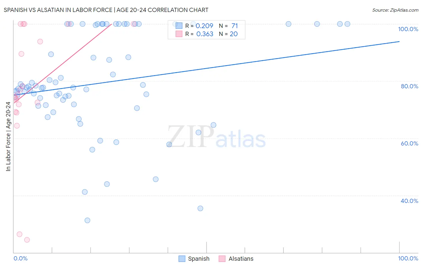Spanish vs Alsatian In Labor Force | Age 20-24